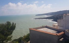 Tuppo Delle Pile Seaview